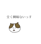 口の悪いネコ（個別スタンプ：7）