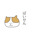 口の悪いネコ（個別スタンプ：14）