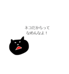 口の悪いネコ（個別スタンプ：17）