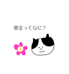 口の悪いネコ（個別スタンプ：20）