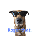 My dog Jamie <Part 2>（個別スタンプ：2）