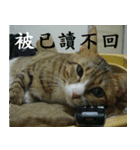 lazy cat ^^（個別スタンプ：4）