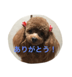 茶子三郎（個別スタンプ：3）