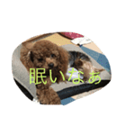 茶子三郎（個別スタンプ：5）