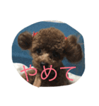 茶子三郎（個別スタンプ：6）