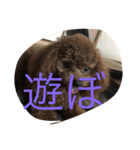 茶子三郎（個別スタンプ：9）