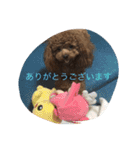 茶子三郎（個別スタンプ：10）