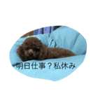 茶子三郎（個別スタンプ：11）