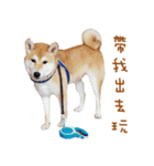 hello pork shiba（個別スタンプ：5）