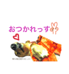 日常で使える愛犬レンのスタンプ2です！（個別スタンプ：12）
