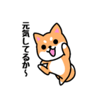 大阪弁の柴犬さん 冬（個別スタンプ：2）