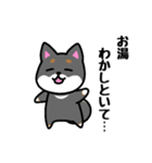 大阪弁の柴犬さん 冬（個別スタンプ：13）