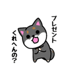 大阪弁の柴犬さん 冬（個別スタンプ：27）