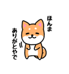 大阪弁の柴犬さん 冬（個別スタンプ：28）
