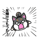 大阪弁の柴犬さん 冬（個別スタンプ：37）