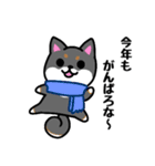 大阪弁の柴犬さん 冬（個別スタンプ：40）