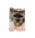 モルゲン爆誕（個別スタンプ：2）