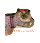 モルゲン爆誕（個別スタンプ：4）