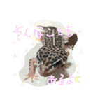 レオパのきりんさん2（個別スタンプ：2）