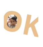 hana is...3（個別スタンプ：14）