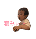 よたろうくん（個別スタンプ：15）