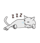 ポッシュキャットダイアリー（個別スタンプ：23）