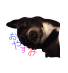 こゆもん（個別スタンプ：3）