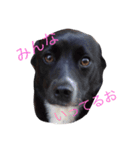こゆもん（個別スタンプ：10）