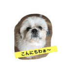 ライちゃんファミリー②（個別スタンプ：1）