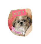 ライちゃんファミリー②（個別スタンプ：3）