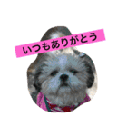 ライちゃんファミリー②（個別スタンプ：5）
