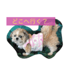 ライちゃんファミリー②（個別スタンプ：9）