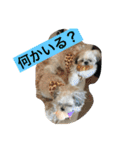 ライちゃんファミリー②（個別スタンプ：14）