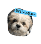 ライちゃんファミリー②（個別スタンプ：17）