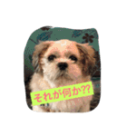 ライちゃんファミリー②（個別スタンプ：23）