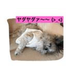 ライちゃんファミリー②（個別スタンプ：28）