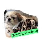 ライちゃんファミリー②（個別スタンプ：31）