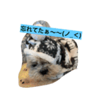 ライちゃんファミリー②（個別スタンプ：32）