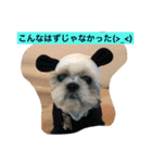 ライちゃんファミリー②（個別スタンプ：34）