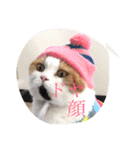 Peko Stanp（個別スタンプ：1）