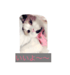 Peko Stanp（個別スタンプ：3）