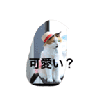 Peko Stanp（個別スタンプ：4）