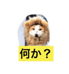 Peko Stanp（個別スタンプ：8）