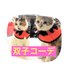 Peko Stanp（個別スタンプ：12）