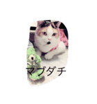 Peko Stanp（個別スタンプ：13）