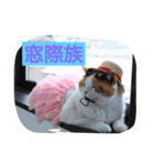 Peko Stanp（個別スタンプ：14）