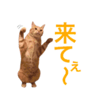 千陽の日常2（個別スタンプ：23）