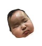 こはくがいう（個別スタンプ：1）