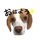 おいも #1（個別スタンプ：2）