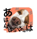 おいも #1（個別スタンプ：7）
